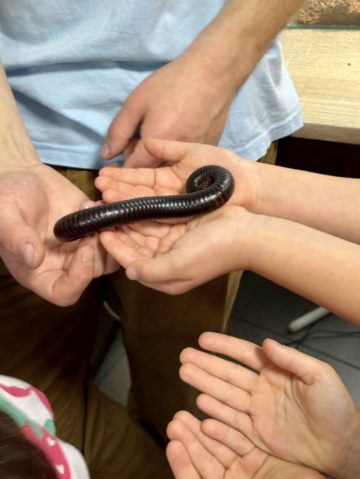 whatsapp image 2025-11-18 at 14.49.14 (2).jpeg