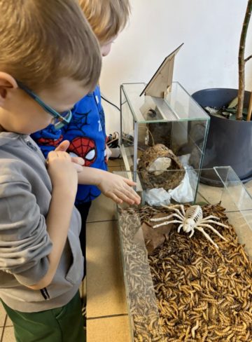 whatsapp image 2025-11-18 at 14.49.15.jpeg