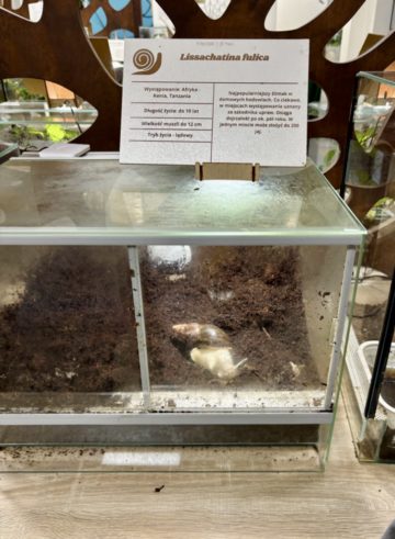 whatsapp image 2025-11-18 at 14.49.16.jpeg