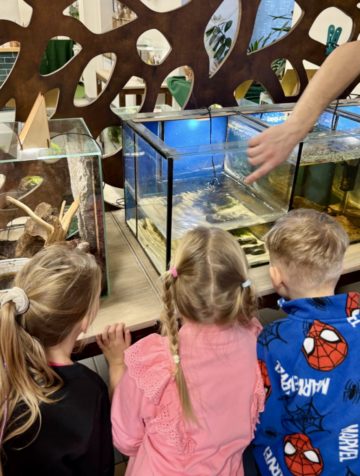 whatsapp image 2025-11-18 at 14.49.17.jpeg