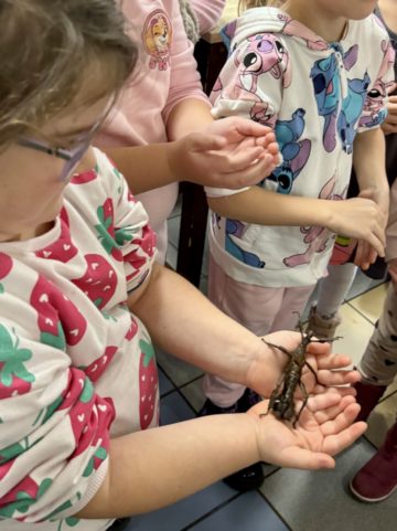 whatsapp image 2025-11-18 at 14.49.19 (1).jpeg