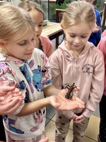 whatsapp image 2025-11-18 at 14.49.19.jpeg