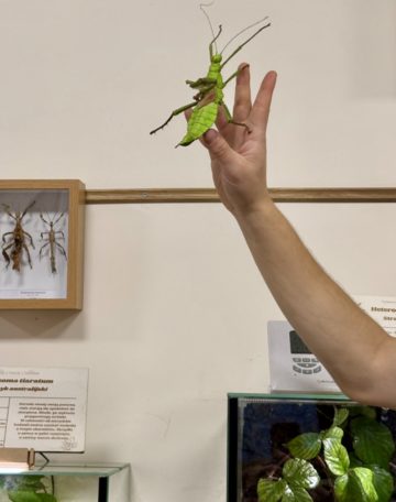 whatsapp image 2025-11-18 at 14.49.20 (3).jpeg