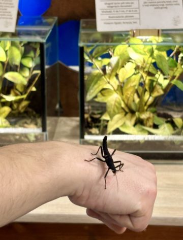 whatsapp image 2025-11-18 at 14.49.25 (1).jpeg