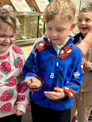 whatsapp image 2025-11-18 at 14.49.25 (2).jpeg