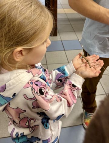 whatsapp image 2025-11-18 at 14.49.26 (1).jpeg