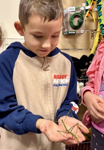 whatsapp image 2025-11-18 at 14.49.29 (1).jpeg