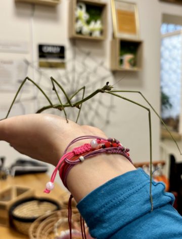 whatsapp image 2025-11-18 at 14.49.29 (4).jpeg