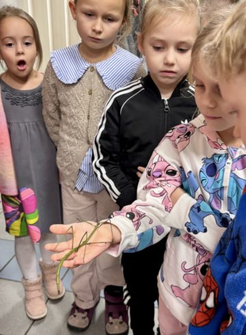 whatsapp image 2025-11-18 at 14.49.30 (1).jpeg