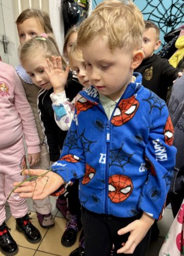 whatsapp image 2025-11-18 at 14.49.31.jpeg