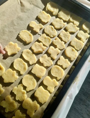 whatsapp image 2025-12-15 at 19.21.12.jpeg