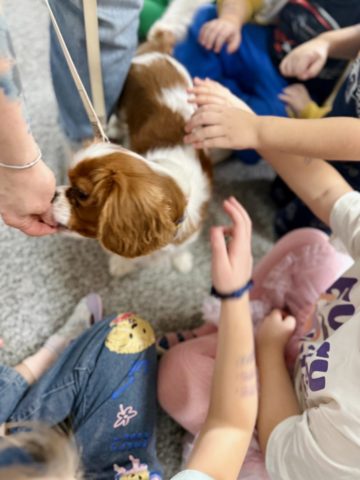 whatsapp image 2026-01-14 at 21.33.25.jpeg