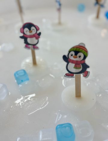 whatsapp image 2026-01-21 at 11.06.37 (1).jpeg