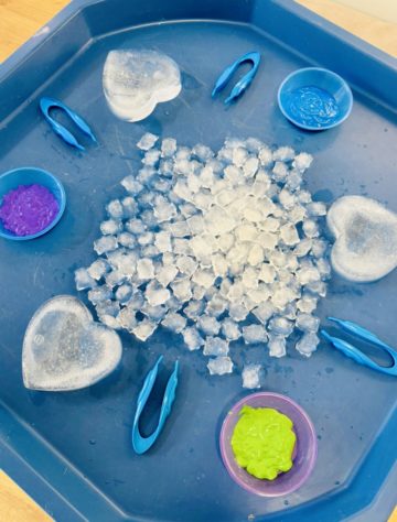 whatsapp image 2026-01-21 at 11.06.41 (1).jpeg