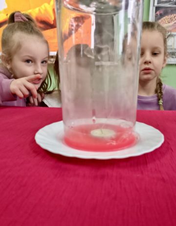 whatsapp image 2026-02-16 at 15.39.08.jpeg