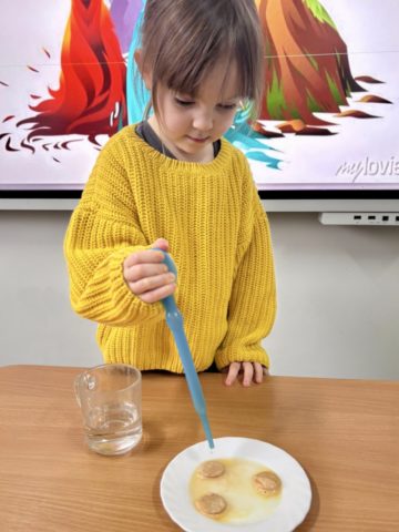 whatsapp image 2026-02-17 at 15.32.13.jpeg