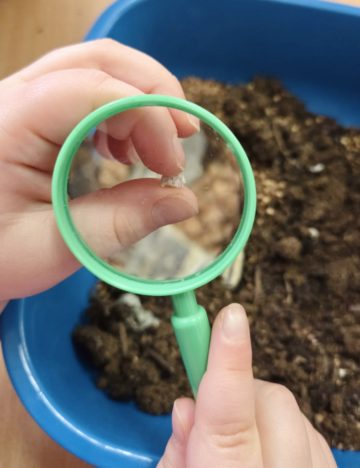 whatsapp image 2026-02-18 at 07.45.57 (2).jpeg