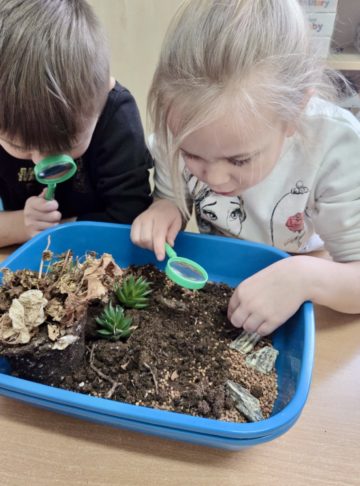 whatsapp image 2026-02-18 at 07.45.57.jpeg