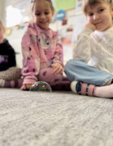 whatsapp image 2026-02-18 at 14.10.27.jpeg