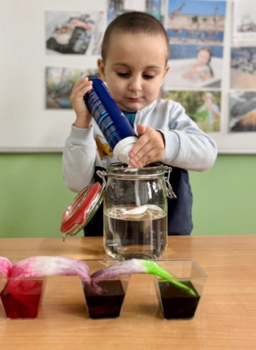 whatsapp image 2026-02-19 at 15.00.38 (1).jpeg