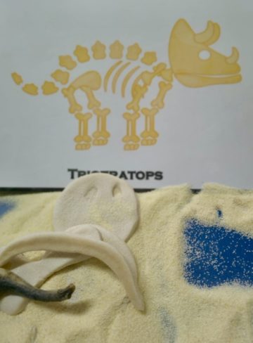 whatsapp image 2026-02-25 at 00.15.40 (2).jpeg