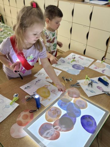 whatsapp image 2026-02-25 at 07.45.40 (1).jpeg