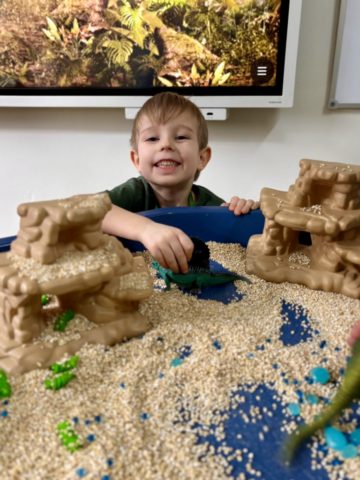 whatsapp image 2026-02-25 at 11.11.25 (3).jpeg