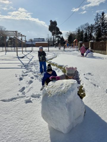 whatsapp image 2026-02-18 at 13.50.49.jpeg